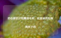 担心降价计划重挫毛利，比亚迪供应商闻风下跌