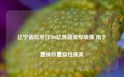 辽宁省拟发行200亿再融资专项债 用于置换存量隐性债务