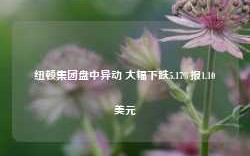 纽顿集团盘中异动 大幅下跌5.17%报1.10美元