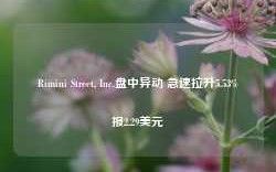 Rimini Street, Inc.盘中异动 急速拉升5.53%报2.29美元