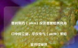 普利制药（300630）投资者索赔再向海口中院立案，华仪电气（600290）索赔案持续推进