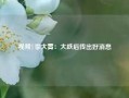 视频|李大霄：大跌后传出好消息