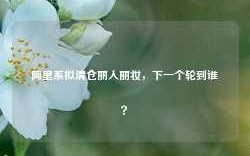 阿里系拟清仓丽人丽妆，下一个轮到谁？