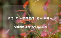 澳门一码100%准确澳门一码100%准确100，突破圈层,不断超越-235.236.1.91