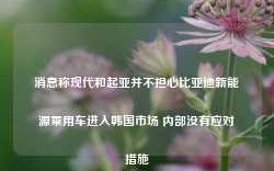 消息称现代和起亚并不担心比亚迪新能源乘用车进入韩国市场 内部没有应对措施