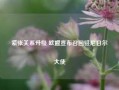 紧张关系升级 欧盟宣布召回驻尼日尔大使