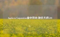 Applovin Corporation盘中异动 股价大跌5.04%