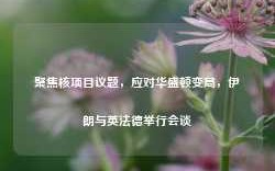 聚焦核项目议题，应对华盛顿变局，伊朗与英法德举行会谈