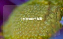 11月涨幅前十股票