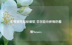 无视领先指标疲软 华尔街分析师仍看涨Nutanix