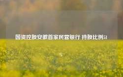 国资控股安徽首家民营银行 持股比例51%