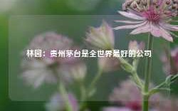 林园：贵州茅台是全世界最好的公司