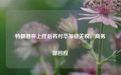 特朗普称上任后将对华加征关税，商务部回应