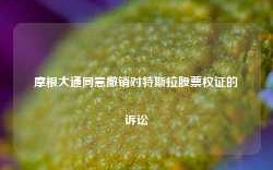 摩根大通同意撤销对特斯拉股票权证的诉讼