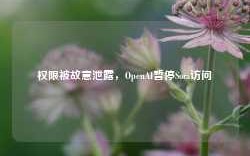 权限被故意泄露，OpenAI暂停Sora访问