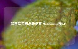 加密货币概念股走高 MicroStrategy涨8.4%