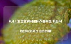 10月工业企业利润边际改善明显 装备制造业利润同比由降转增