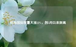 特海国际放量大涨22%，创5月以来新高