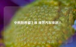 中概股普遍上涨 理想汽车涨超5%