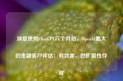 深度使用ChatGPT六个月后，OpenAI最大的金融客户评估：有效果，但扩展性存疑