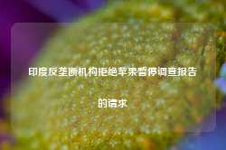 印度反垄断机构拒绝苹果暂停调查报告的请求