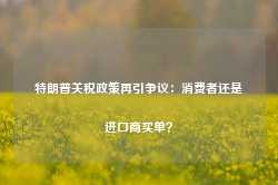 特朗普关税政策再引争议：消费者还是进口商买单？