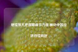 继续加大逆周期调节力度 推动中国经济持续向好