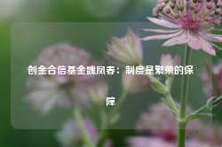 创金合信基金魏凤春：制度是繁荣的保障