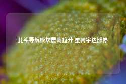 北斗导航板块震荡拉升 星网宇达涨停