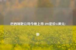 巴西钾肥公司今晚上市 IPO定价15美元/股-第1张图片-义乌微创医院