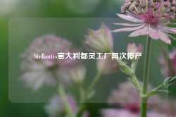 Stellantis意大利都灵工厂再次停产