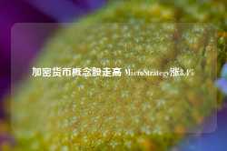 加密货币概念股走高 MicroStrategy涨8.4%-第1张图片-义乌微创医院