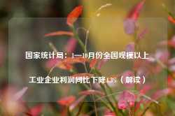 国家统计局：1—10月份全国规模以上工业企业利润同比下降4.3%（解读）