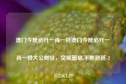 澳门今晚必开一肖一特澳门今晚必开一肖一特大公财经，突破圈层,不断超越-235.236.1.29-第1张图片-义乌微创医院