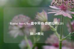 Rimini Street, Inc.盘中异动 急速拉升5.53%报2.29美元-第1张图片-义乌微创医院