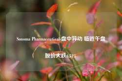 Sonoma Pharmaceuticals盘中异动 临近午盘股价大跌6.51%-第1张图片-义乌微创医院