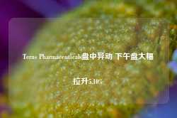 Terns Pharmaceuticals盘中异动 下午盘大幅拉升5.10%-第1张图片-义乌微创医院