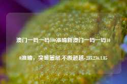 澳门一码一码100准确新澳门一码一码100准确，突破圈层,不断超越-235.236.1.85-第1张图片-义乌微创医院