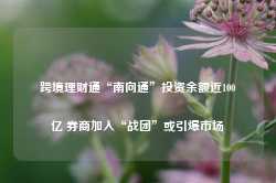 跨境理财通“南向通”投资余额近100亿 券商加入“战团”或引爆市场-第1张图片-义乌微创医院