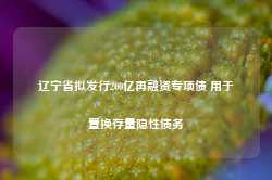 辽宁省拟发行200亿再融资专项债 用于置换存量隐性债务-第1张图片-义乌微创医院