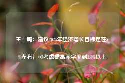 王一鸣：建议2025年经济增长目标定在5%左右，可考虑提高赤字率到3.8%以上-第1张图片-义乌微创医院