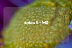 11月涨幅前十股票-第1张图片-义乌微创医院